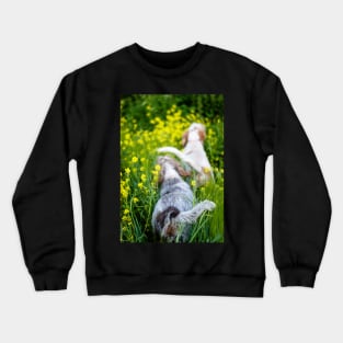 Wildflower adventure Spinoni Crewneck Sweatshirt